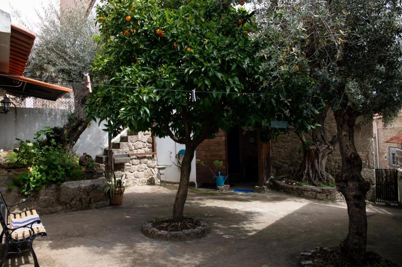 Casa Do Guardado Villa Monsanto Exterior photo
